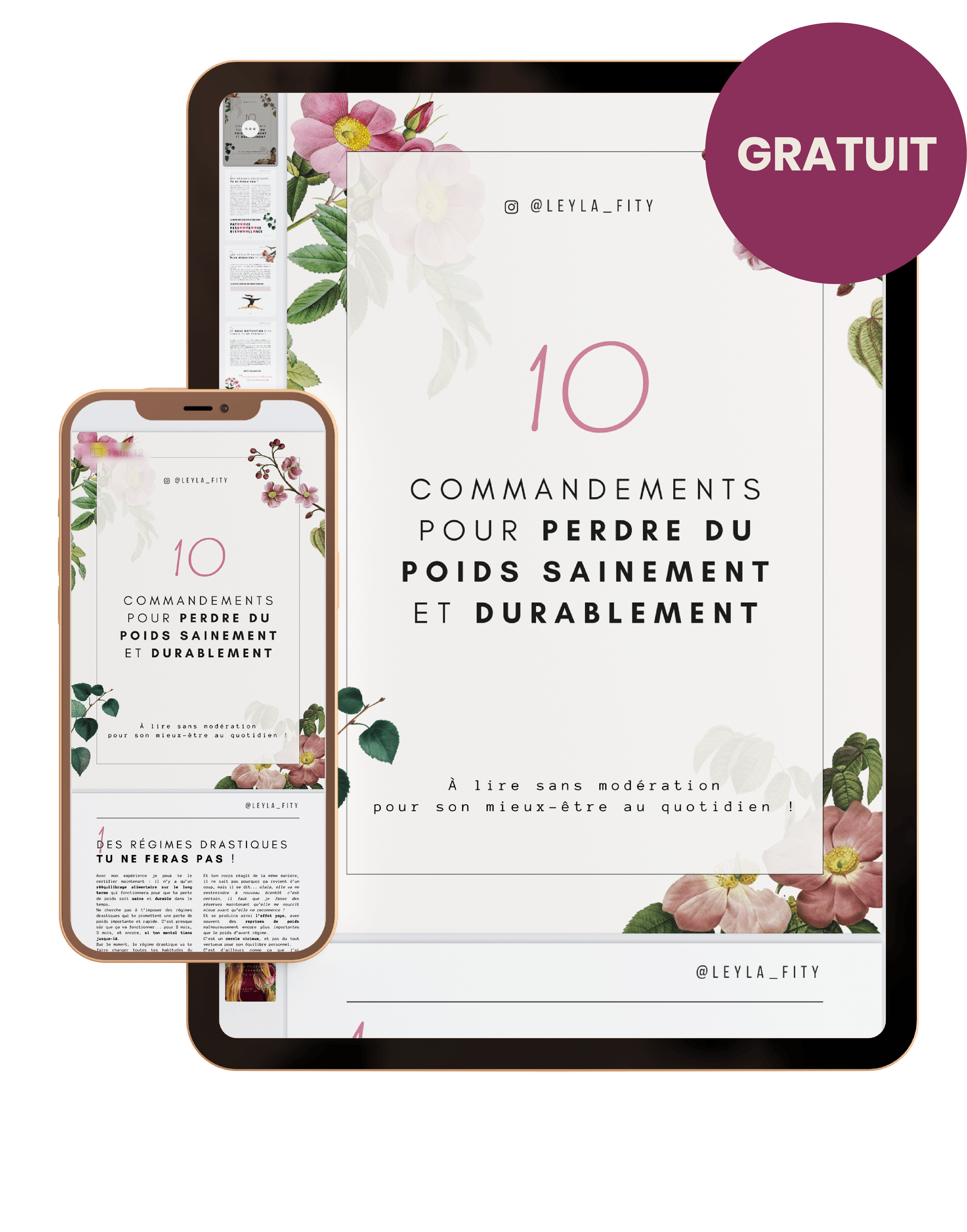 Ebook Leylife Coach